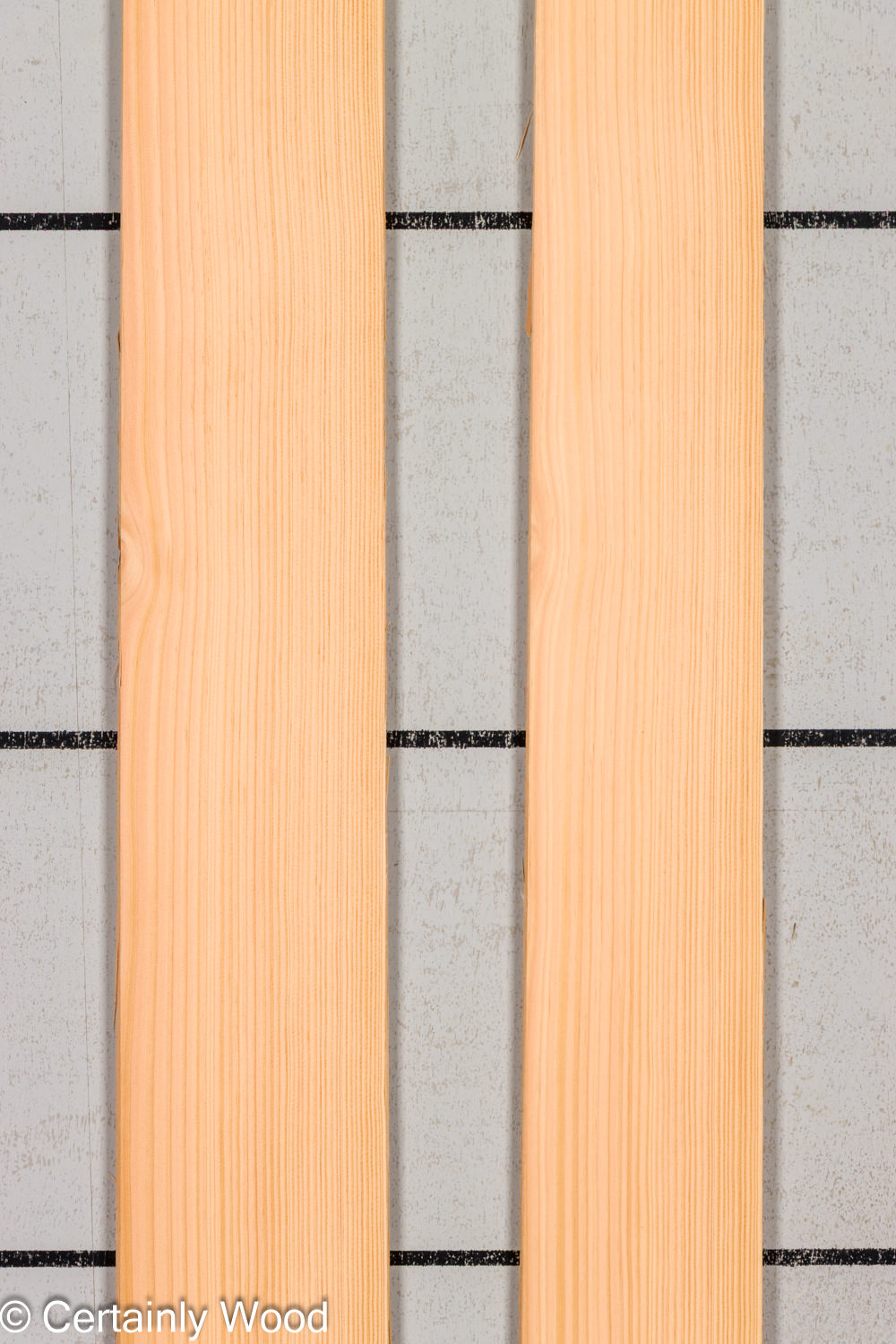 28_DOUG_FIR_25255-7_1
