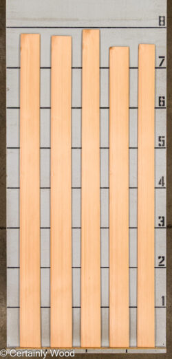28_DOUG_FIR_25255-7_2