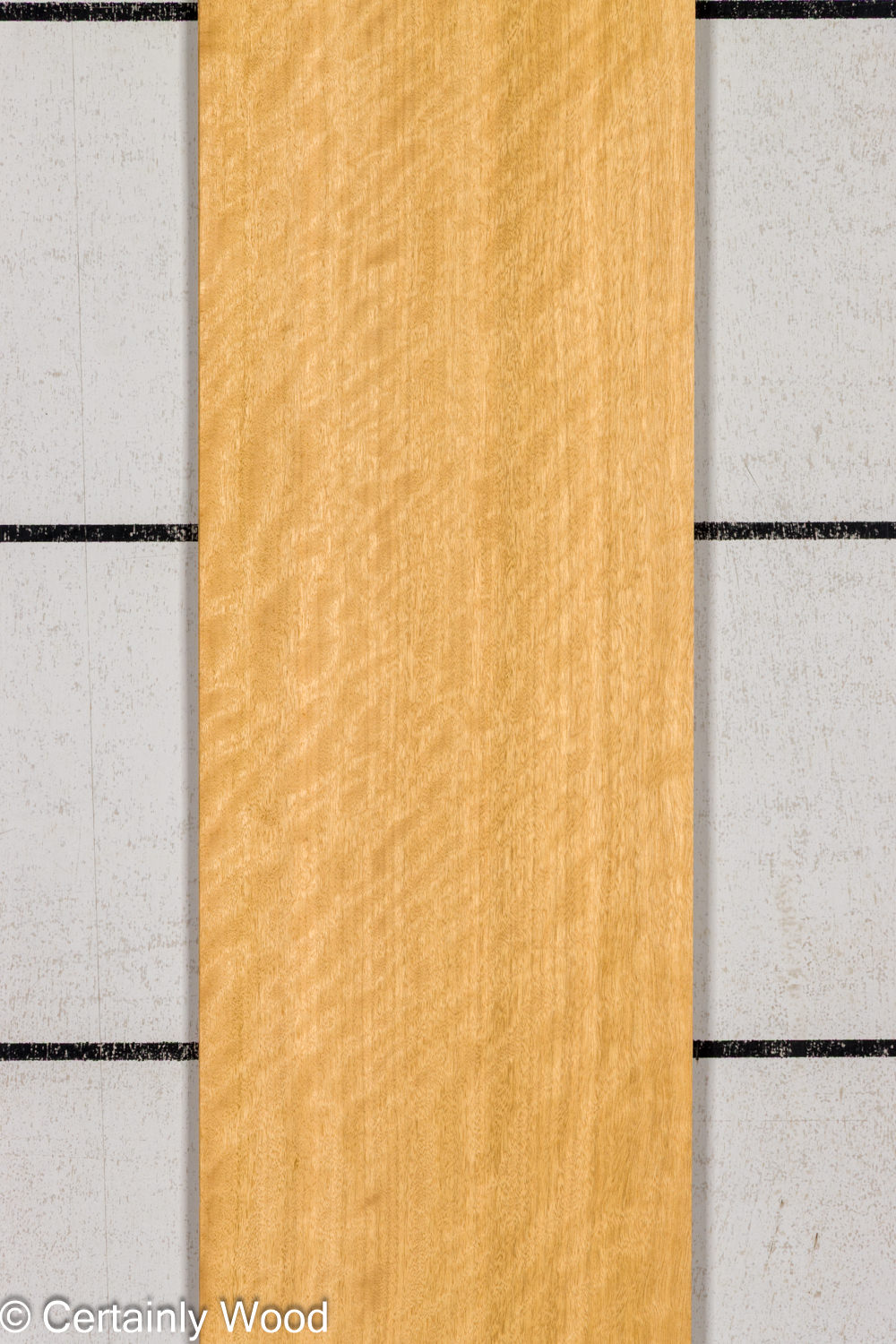 AVODIRE_26147-1A_1