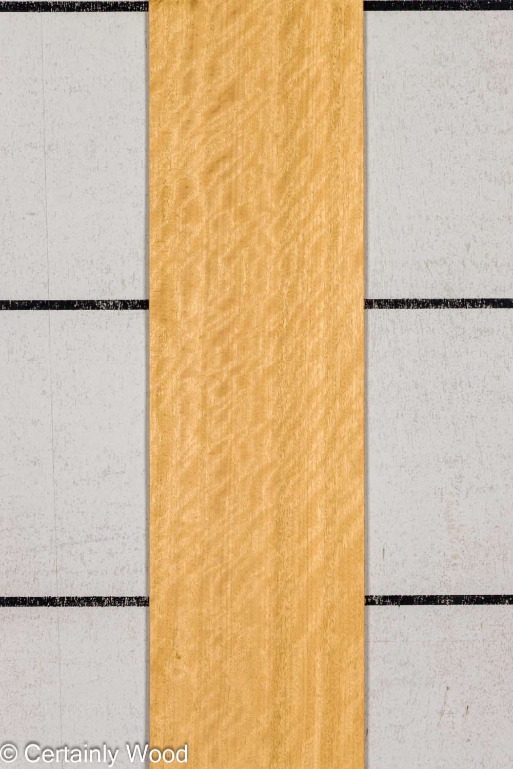 AVODIRE_26147-1B_1