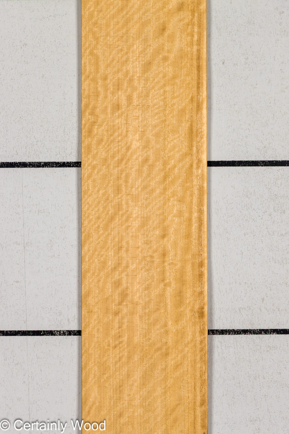AVODIRE_26147-2_1