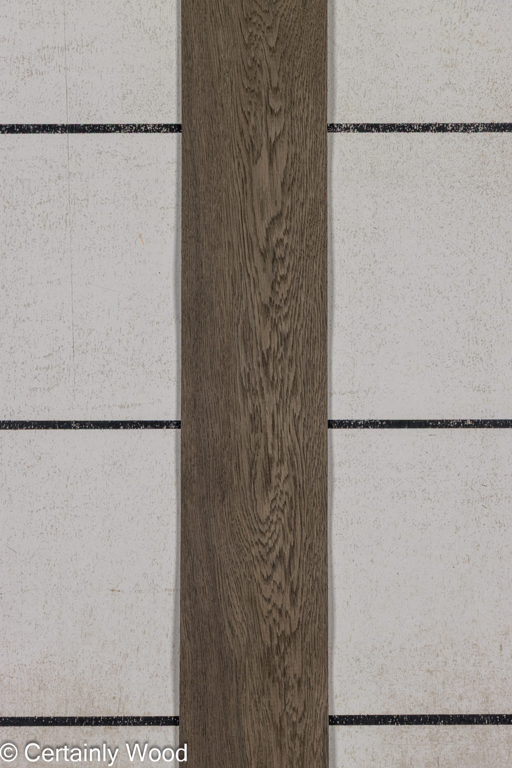 BOG_OAK_26123-2B_1
