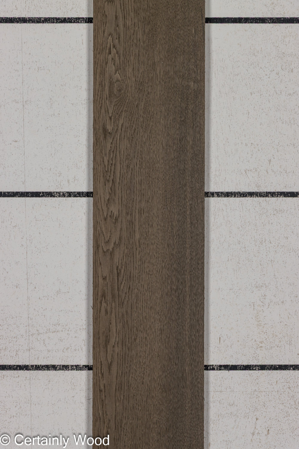 BOG_OAK_26123-3_1