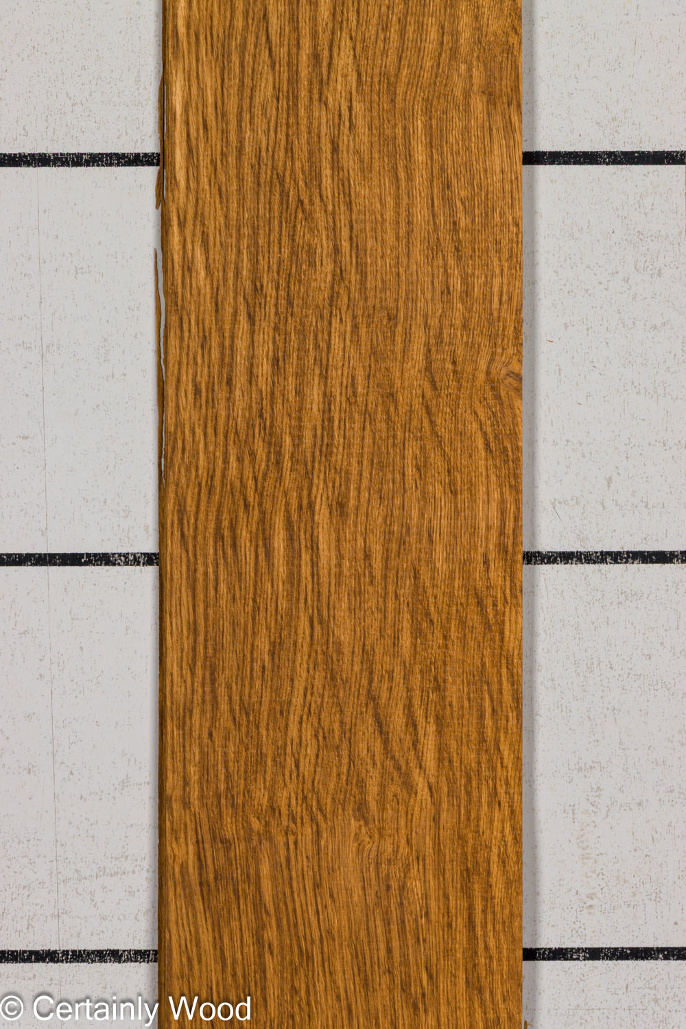 EBO_26076-1_1