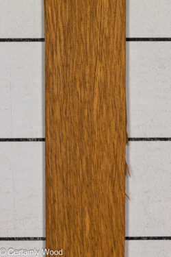 EBO_26076-2B_1