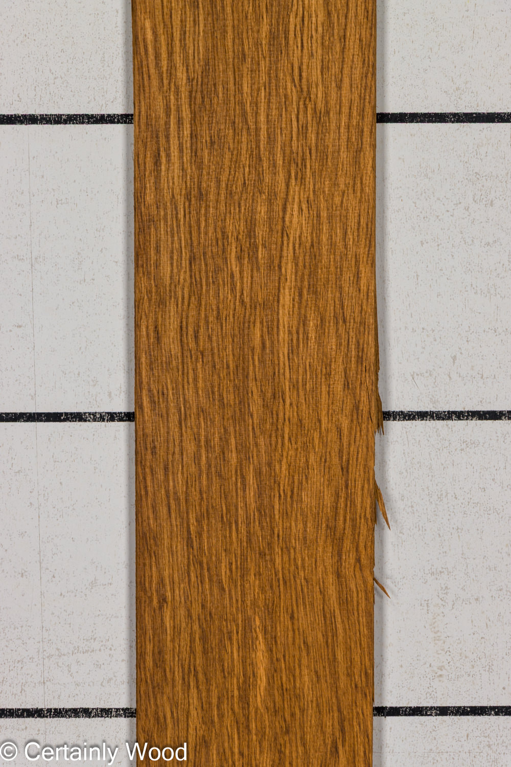EBO_26076-2B_1