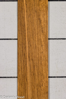 EBO_26076-3B_1