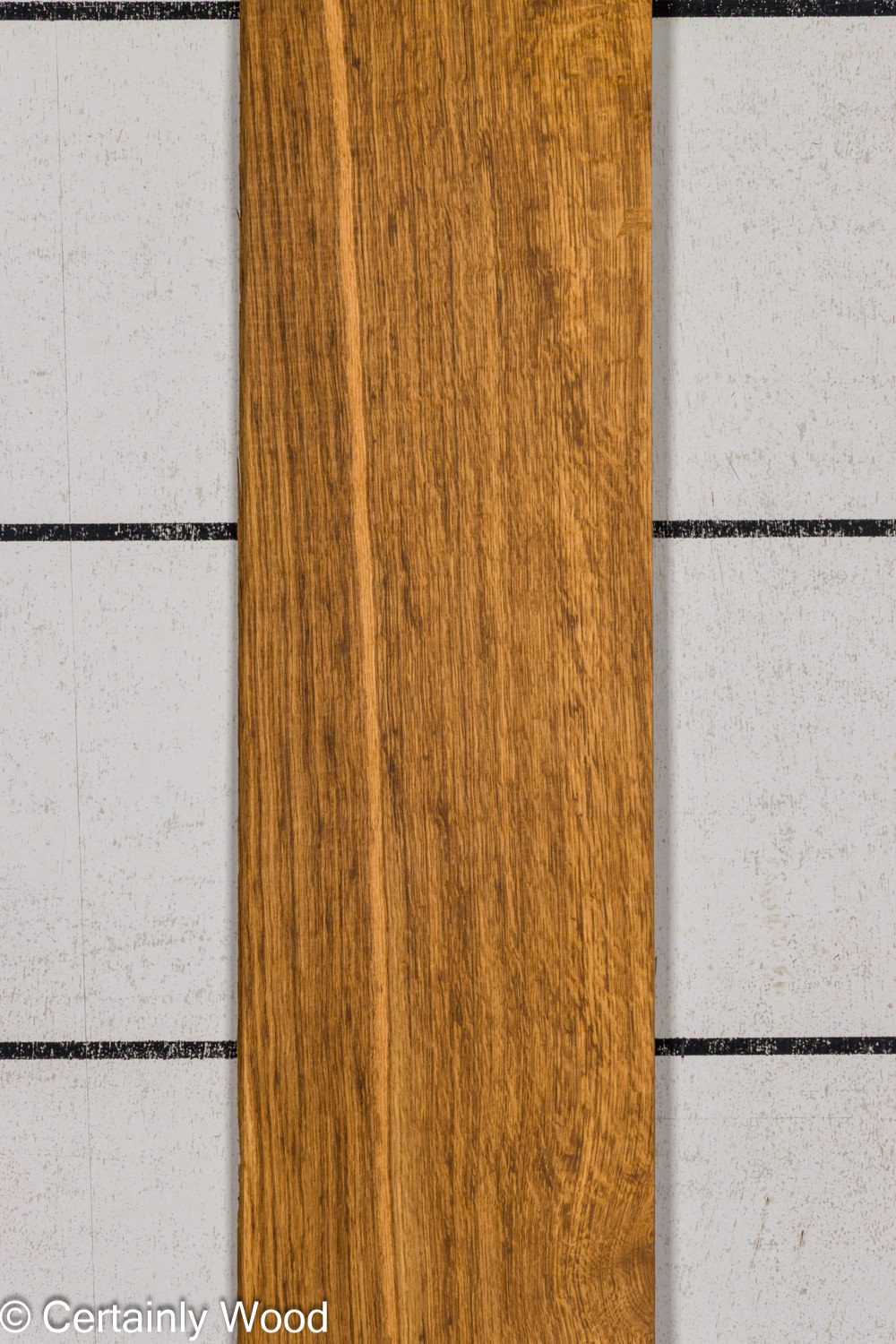 EBO_26076-3B_1