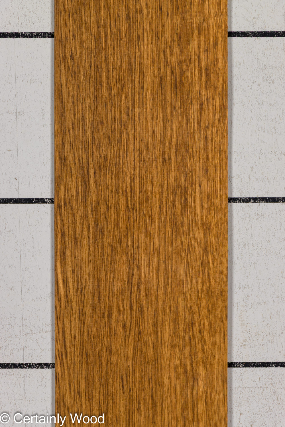 EBO_26076-4B_1