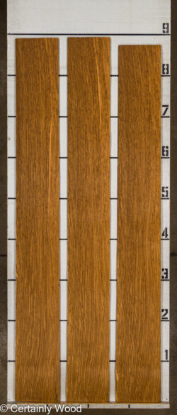 EBO_26076-4B_2
