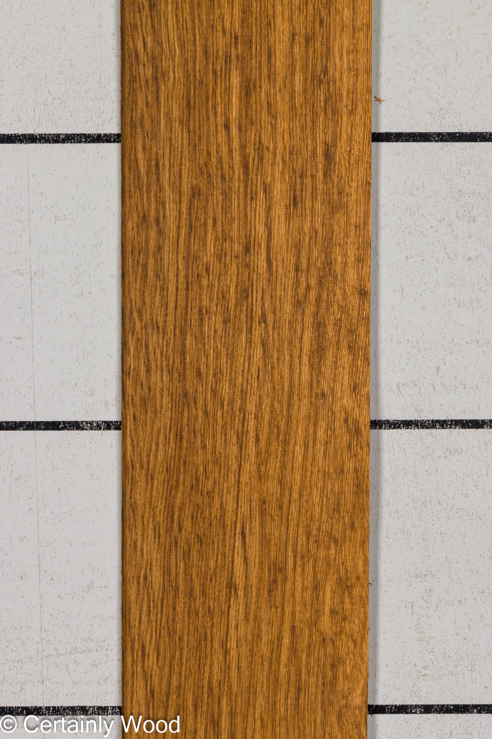 EBO_26076-4D_1