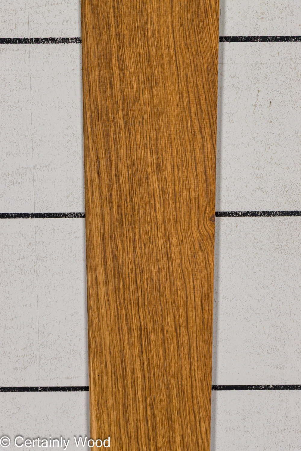 EBO_26077-1A_1