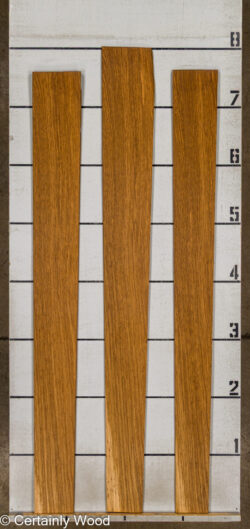 EBO_26077-1A_2