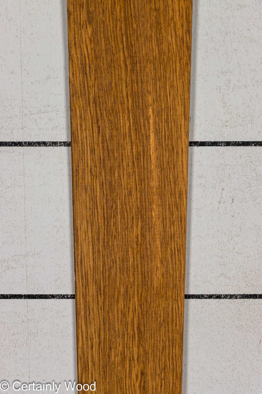 EBO_26077-1B_1