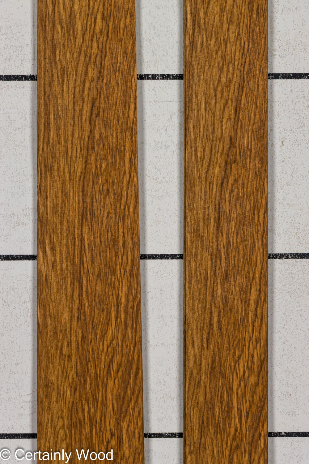 EBO_26077-2B_1
