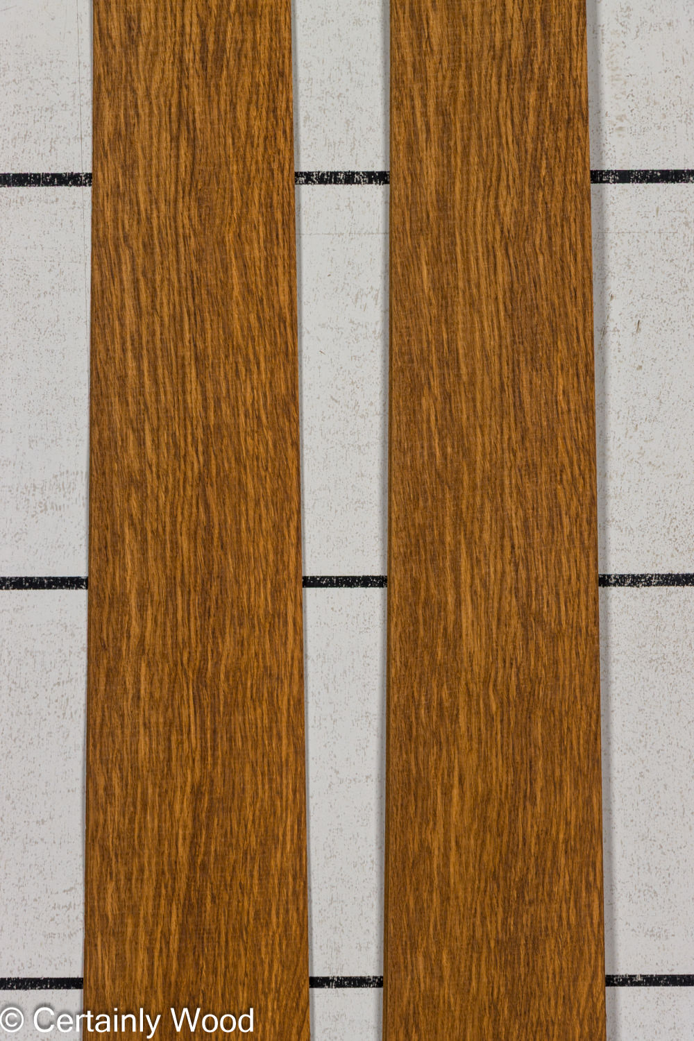 EBO_26077-3B_1