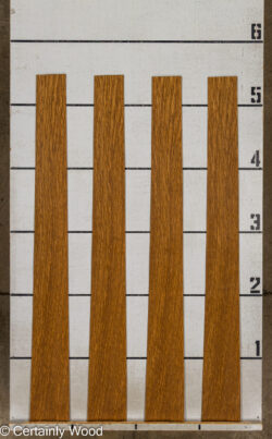 EBO_26077-3B_2