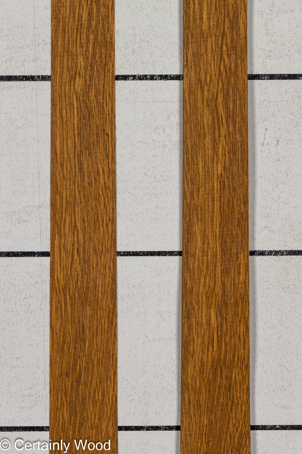EBO_26077-3C_1