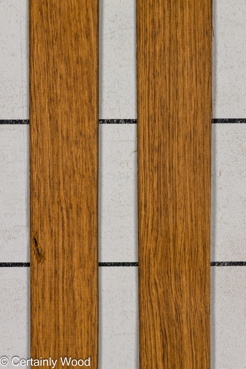 EBO_26077-5_1