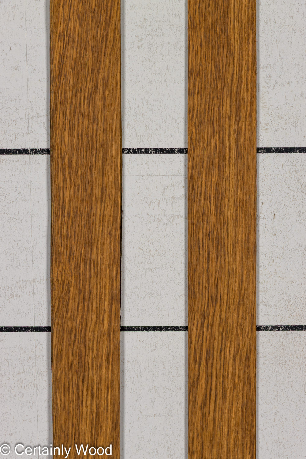 EBO_26077-7_1
