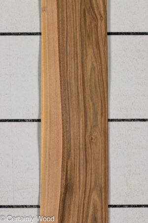 FR WALNUT 26121-1A