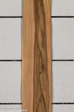 FR_WALNUT_26121-1B_1