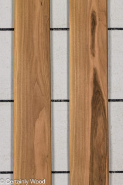 FR_WALNUT_26121-1C_1