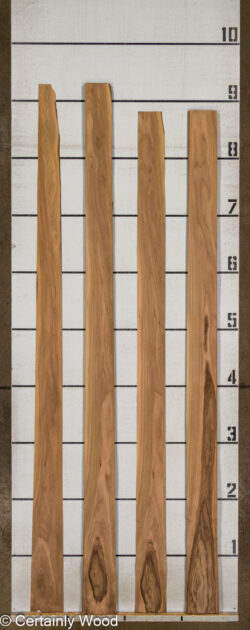 FR_WALNUT_26121-1C_2