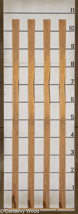 FR_WALNUT_26121-2B_2
