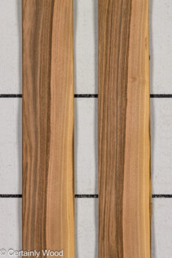 FR_WALNUT_26121-3_1