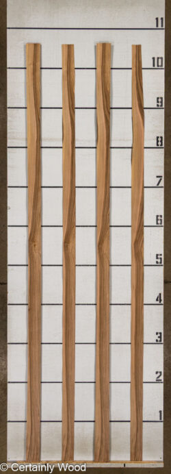FR_WALNUT_26121-4_2