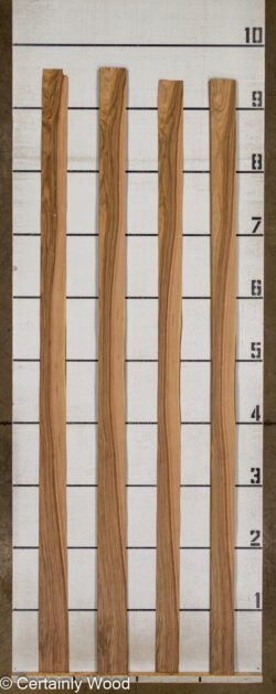 FR_WALNUT_26121-5A_2