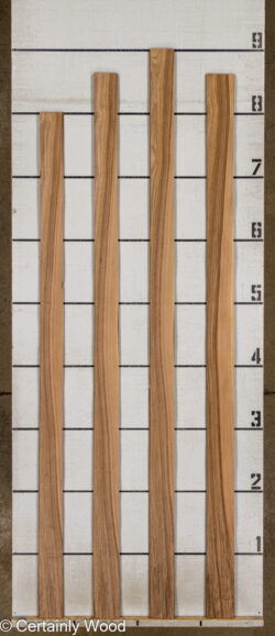 FR_WALNUT_26121-5B_2