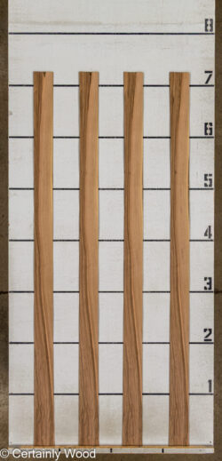 FR_WALNUT_26121-5C_2