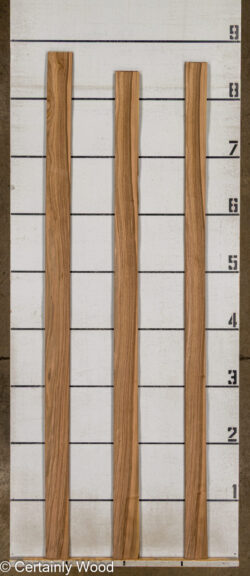 FR_WALNUT_26121-6_2