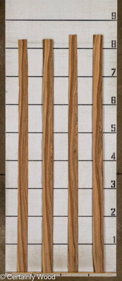 FR_WALNUT_26121-7_2