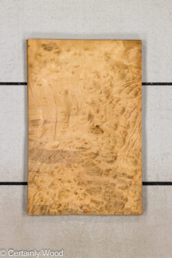 F_E_LAUREL_26119-1A_1