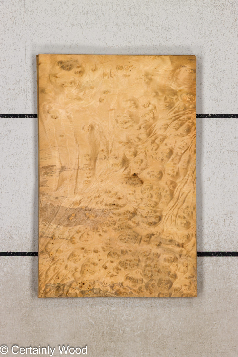 F_E_LAUREL_26119-1A_1