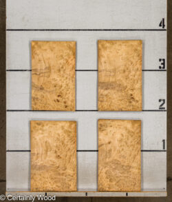 F_E_LAUREL_26119-1A_2