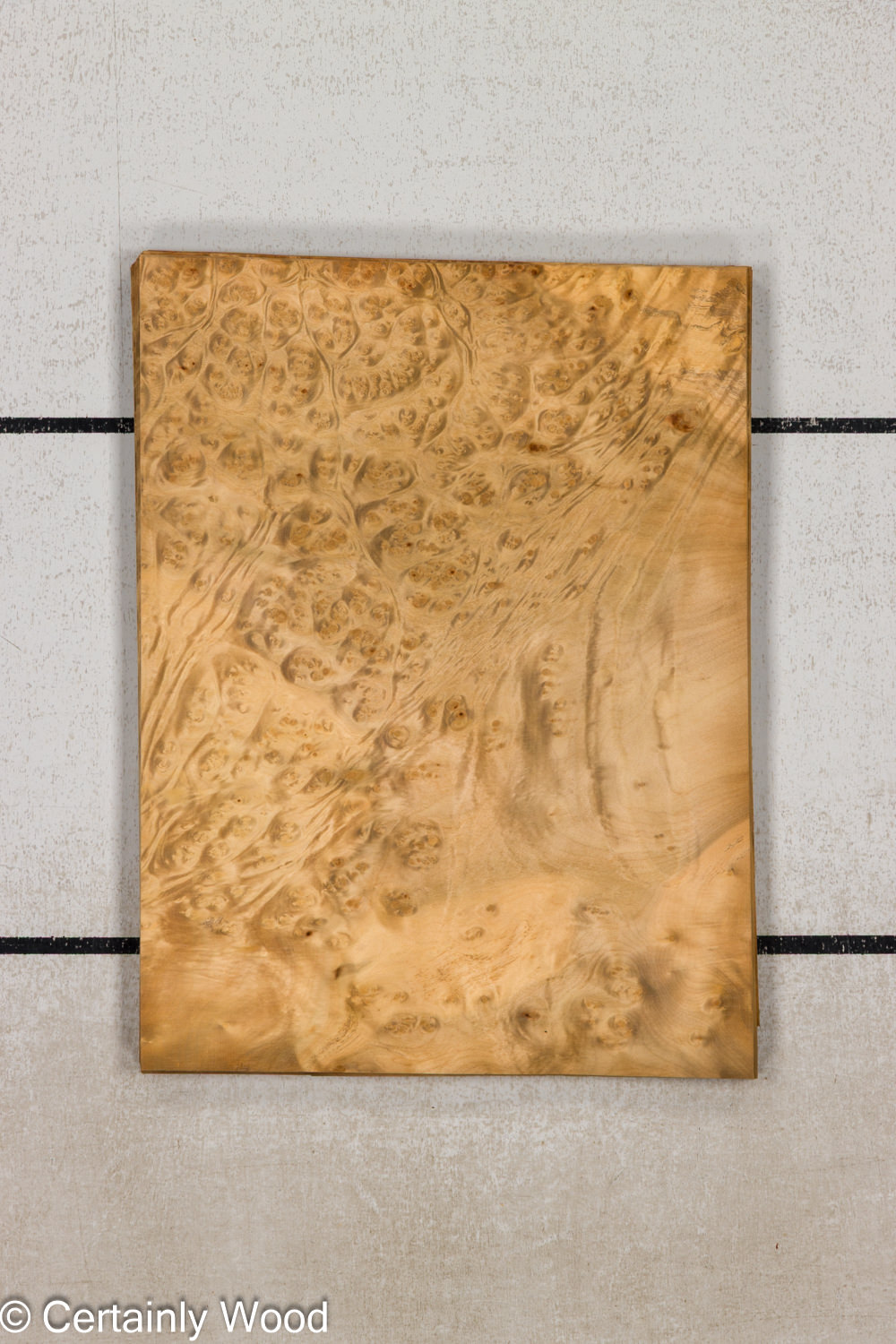 F_E_LAUREL_26119-1B_1