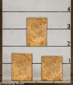 F_E_LAUREL_26119-1B_2