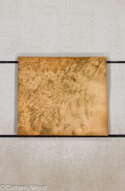 F_E_LAUREL_26119-1C_1