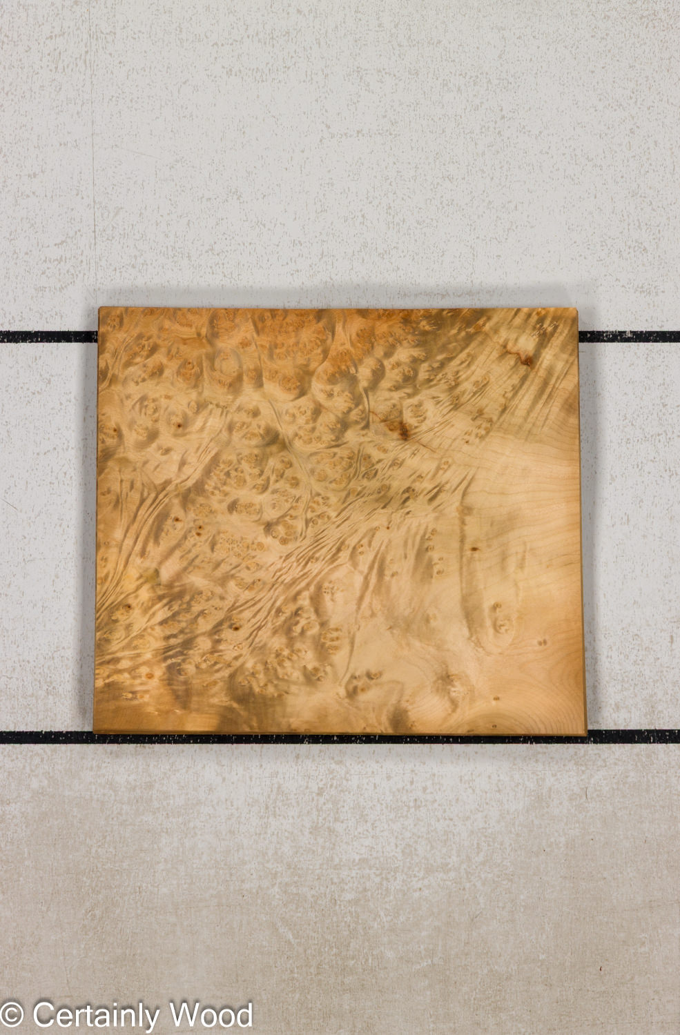 F_E_LAUREL_26119-1C_1