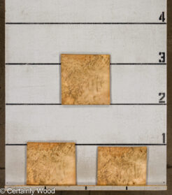 F_E_LAUREL_26119-1C_2