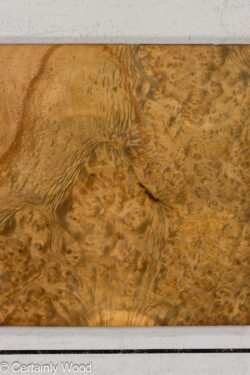 F_E_LAUREL_26120-1_1