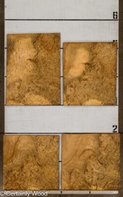 F_E_LAUREL_26120-1_2