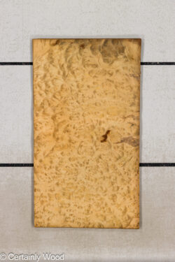 F_E_LAUREL_26120-2A_1