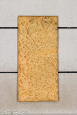 F_E_LAUREL_26120-2B_1