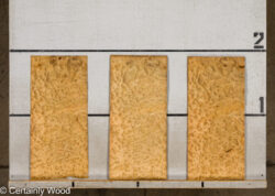 F_E_LAUREL_26120-2B_2