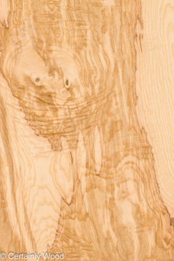 O_ASH_BURL_26117-1_3